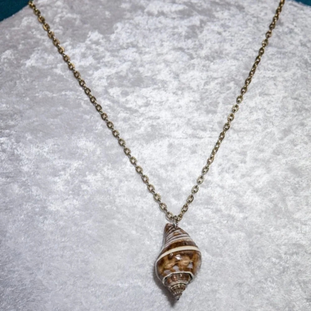 NATURAL Conch Shell Necklace with Chain Gold Tone